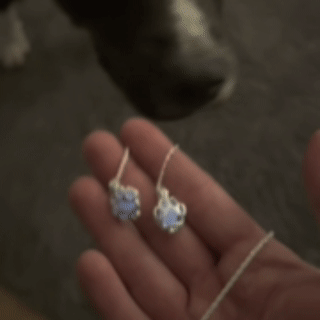 PawGlow™ – Leuchtende Pfote der Hoffnung