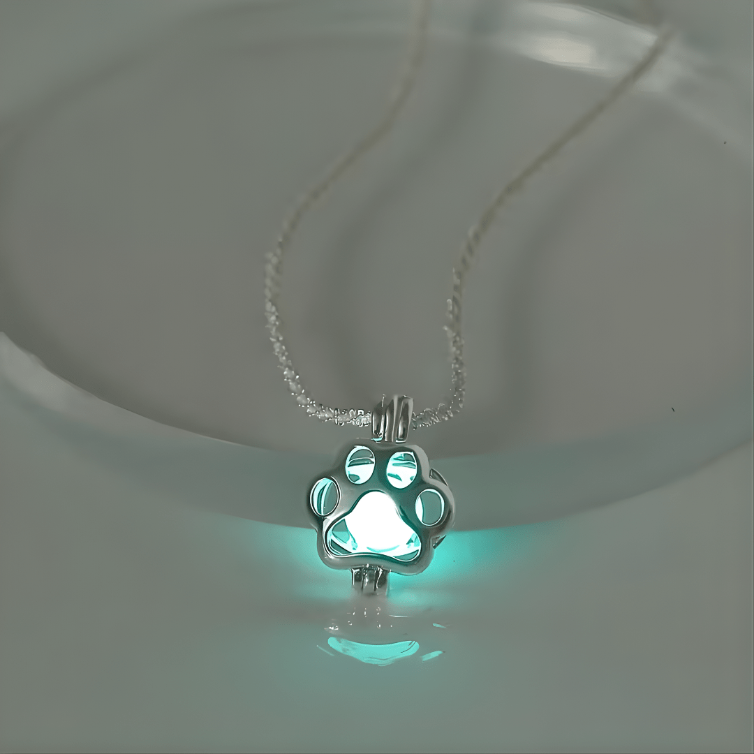 PawGlow™ – Leuchtende Pfote der Hoffnung - Hug4Paws