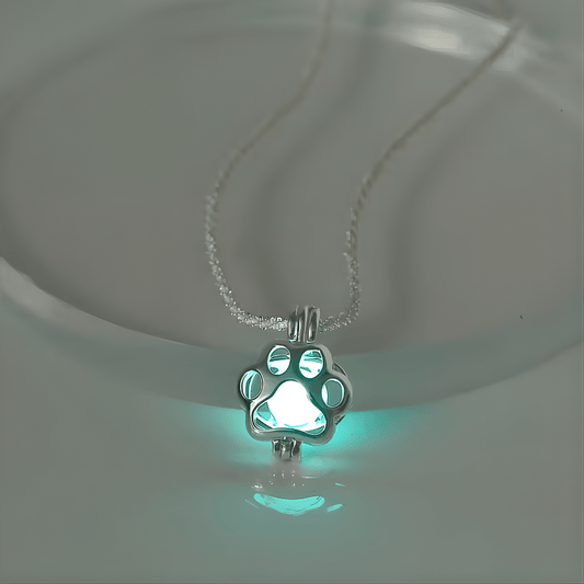 PawGlow™ – Leuchtende Pfote der Hoffnung - Hug4Paws