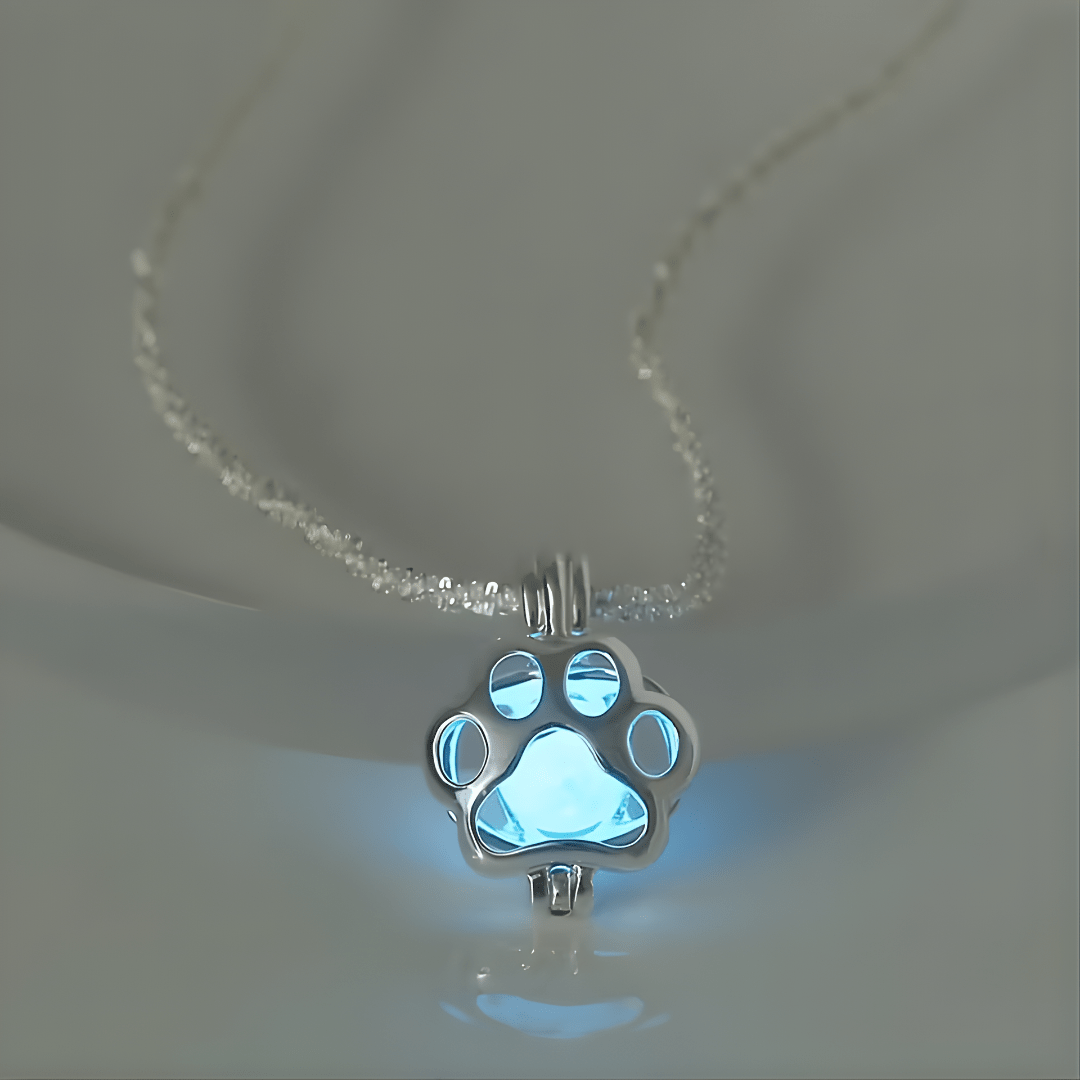 PawGlow™ – Leuchtende Pfote der Hoffnung - Hug4Paws