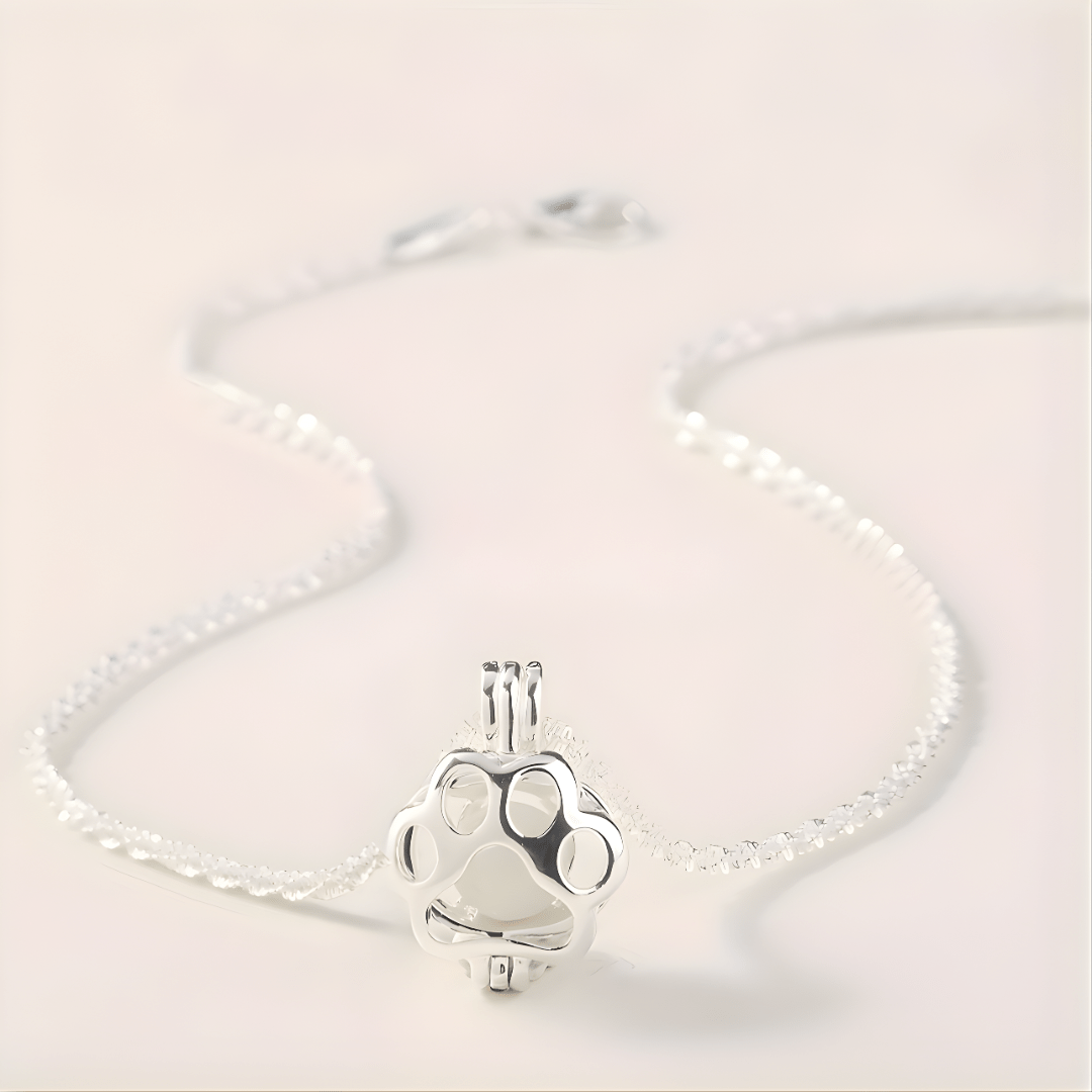 PawGlow™ – Leuchtende Pfote der Hoffnung - Hug4Paws