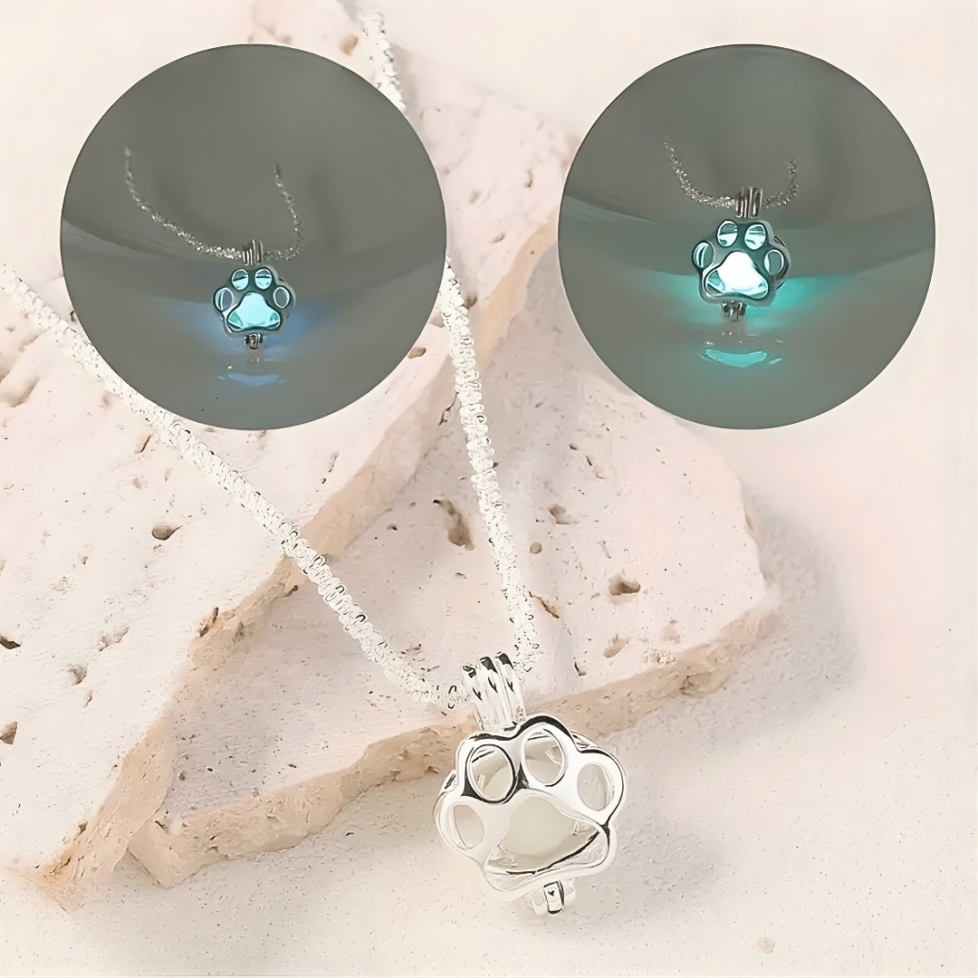PawGlow™ – Leuchtende Pfote der Hoffnung - Hug4Paws