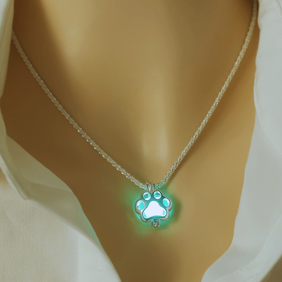 PawGlow™ – Leuchtende Pfote der Hoffnung - Hug4Paws